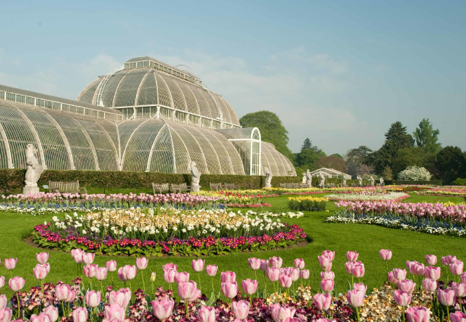 Spring flowers at Kew Gardens